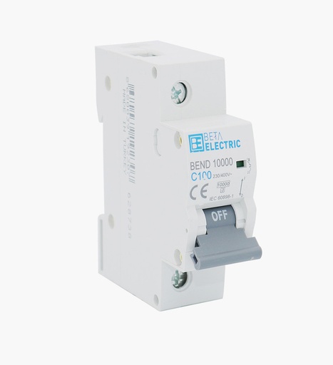 [1030000601] بيتا مينتشر أحادي 100 أمبير - 6كيلو